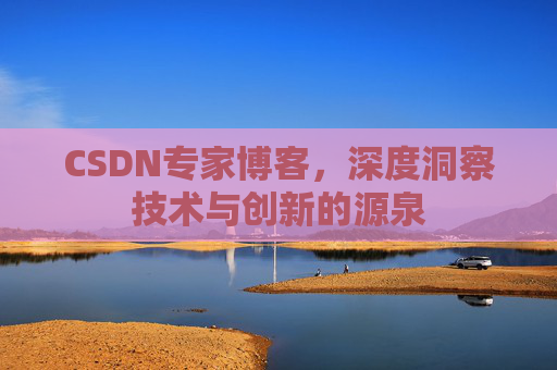 CSDN专家博客，深度洞察技术与创新的源泉